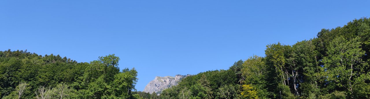 Alvier between Forests